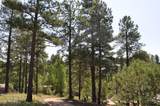 3350 Ghost Tree Drive - Photo 12