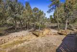 1108 Indian Paintbrush Circle - Photo 50