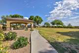 12209 Desert Lane - Photo 86