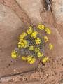 000 Bell Cow Aka Rock Art Ranch Road - Photo 10