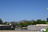 8649 Royal Palm Road - Photo 32