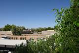 8649 Royal Palm Road - Photo 33