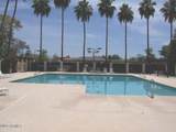 8649 Royal Palm Road - Photo 37