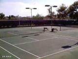 8649 Royal Palm Road - Photo 38