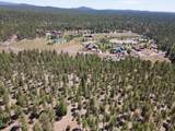 9586 Sierra Springs Way - Photo 7