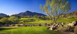 42143 108TH Place - Photo 29