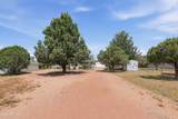 2404 Palmer Drive - Photo 16