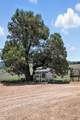 507 Baker Ranch Road - Photo 52