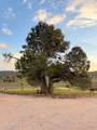 507 Baker Ranch Road - Photo 53