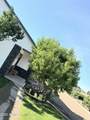 775 Apple Blossom Lane - Photo 38