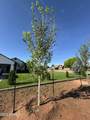775 Apple Blossom Lane - Photo 39