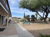 301 Cholla Lane - Photo 38