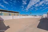 301 Cholla Lane - Photo 63