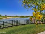 5942 Cactus Wren Way - Photo 78