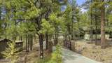 1430 Puma Place - Photo 87