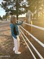 2399 Quarter Horse Trail - Photo 29