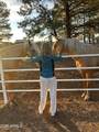 2399 Quarter Horse Trail - Photo 30