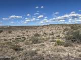 00 Dragonshead 6.44Ac Road - Photo 11