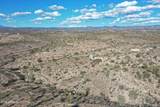 00 Dragonshead 6.44Ac Road - Photo 15