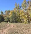 3995 Forest Svc Rd 249 - Photo 95
