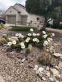 2733 164TH Avenue - Photo 45