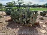 7949 Joshua Tree Lane - Photo 18