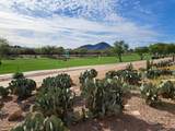 7949 Joshua Tree Lane - Photo 6