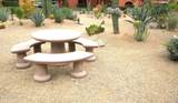 4303 Cactus Road - Photo 32