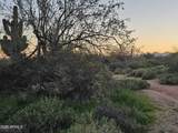 32XXX 162ND Street - Photo 16