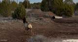 12700 Madman Mountain Road - Photo 17