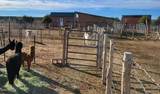 12700 Madman Mountain Road - Photo 23