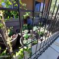 1621 Spruce Canyon Drive - Photo 39