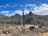31900 Tillys Trail - Photo 31