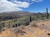 31900 Tillys Trail - Photo 41