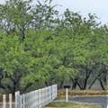 -369A Peach Lane - Photo 6