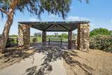 2120 Olivia Drive - Photo 42