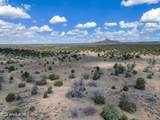 5785 Muytala Drive - Photo 42
