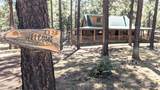 2425 Tall Trees Loop - Photo 7