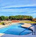 10914 Campana Drive - Photo 47
