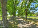 436 Salt Mine Road - Photo 50
