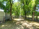436 Salt Mine Road - Photo 51