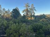 1806 Cliff Rose Drive - Photo 10
