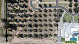20682 Ivy Lane - Photo 4