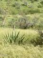 TBD Hannon Ranch Lane - Photo 12