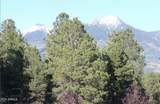 8950 Antoinette Way - Photo 104