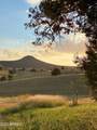 507 Baker Ranch Road - Photo 49
