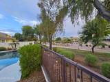 3726 Star Canyon Drive - Photo 16