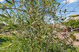 2908 141ST Avenue - Photo 47