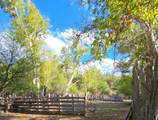 3995 Forest Svc Rd 249 - Photo 100
