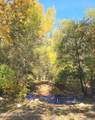 3995 Forest Svc Rd 249 - Photo 104